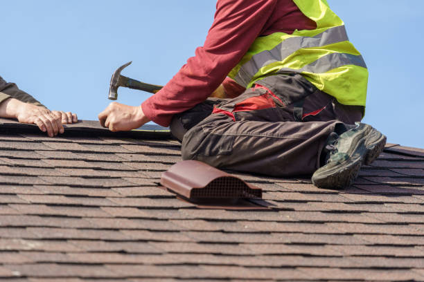 Best Metal Roofing Contractor  in Choccolocco, AL