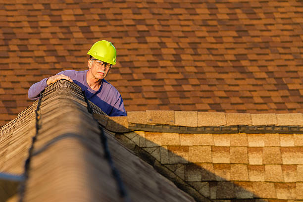 Best Gutter Installation and Roofing  in Choccolocco, AL